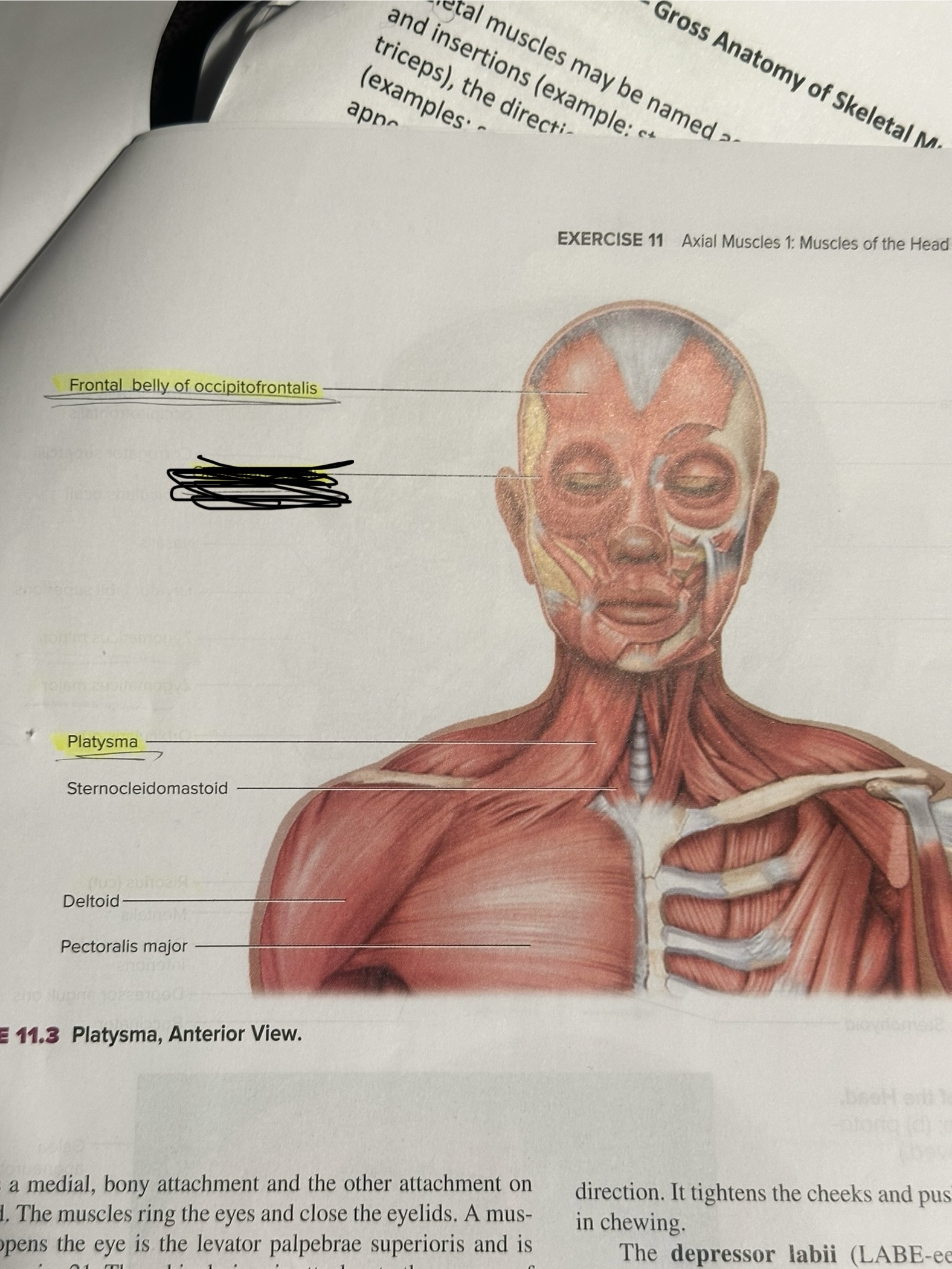 <p>Location crossed out </p>