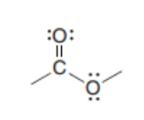 <p>Ester</p>