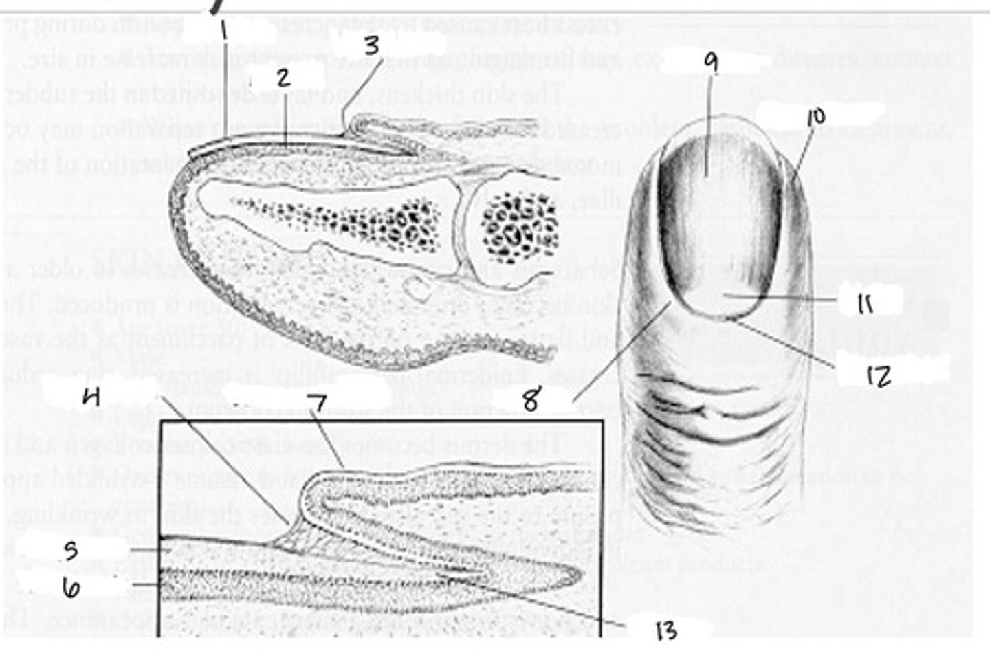 <p>4</p>