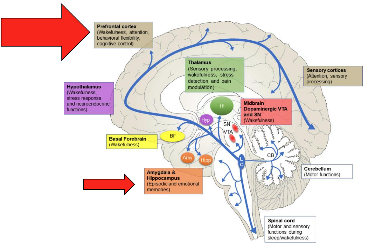 <p><strong>Many functions of NA</strong></p>