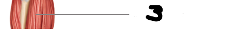 <p>What is #3?</p>