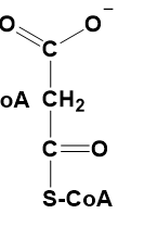 <p>What molecule is this </p>