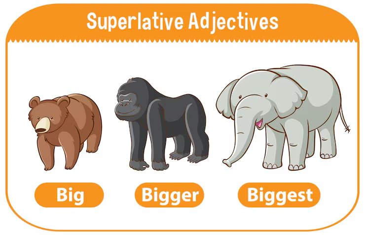 <p><span style="background-color: transparent;">Advanced comparison Expressions</span></p>