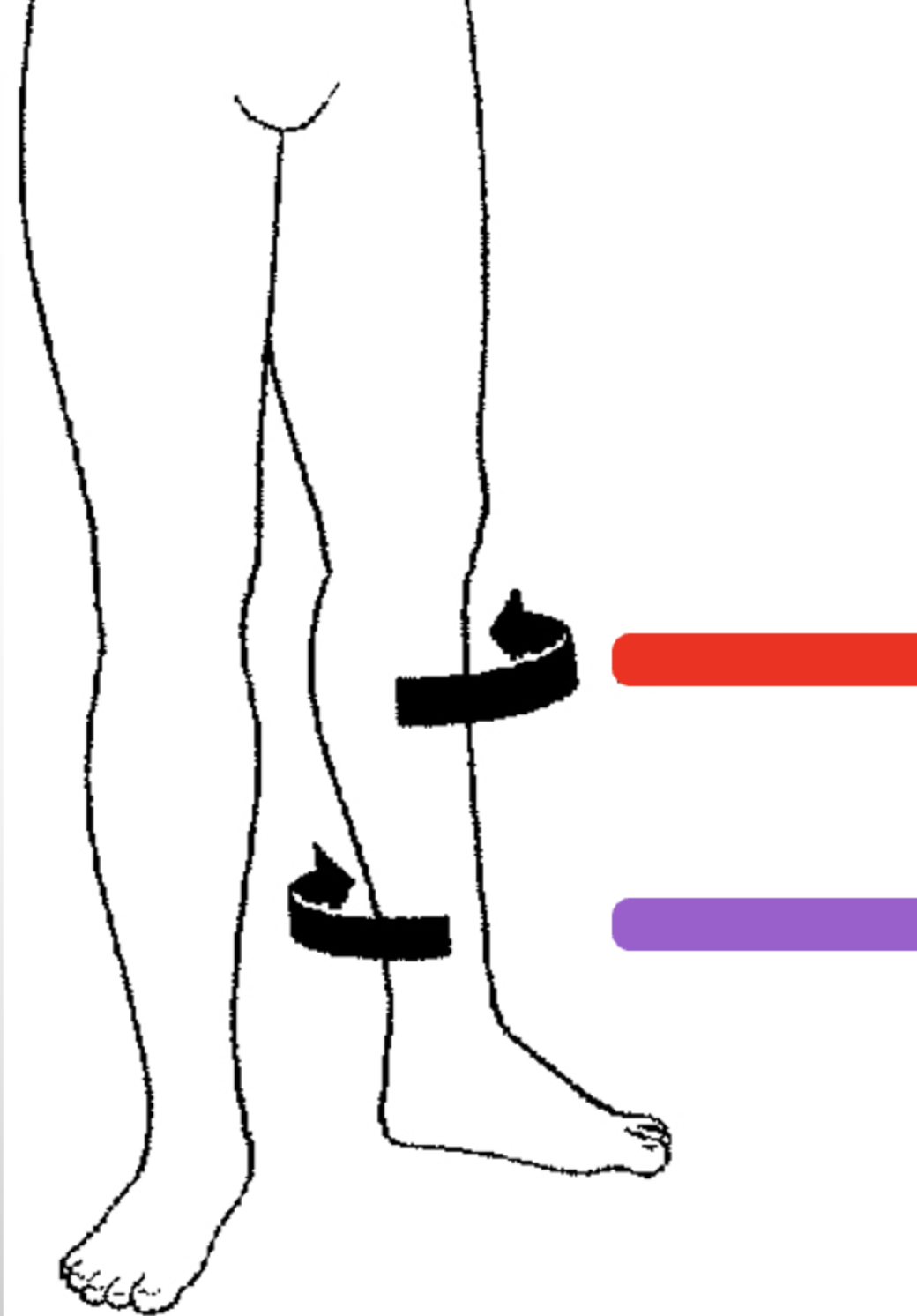 <p>What is the purple?</p>