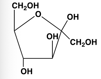 <p>What Carbohydrate is this, and what is its abbreviation? </p>