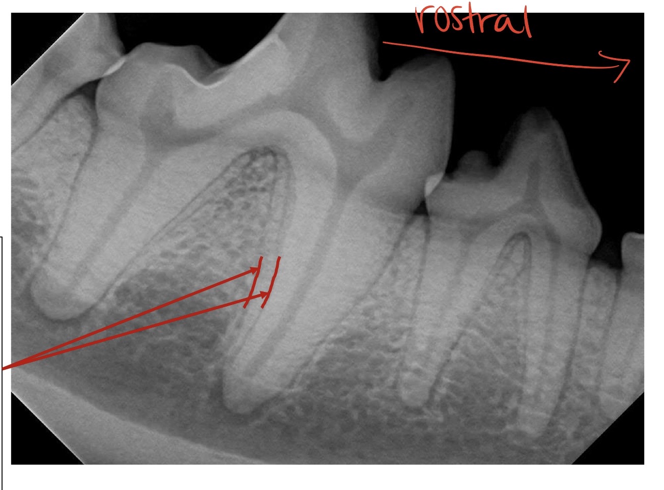 <p>what is this showing?</p>