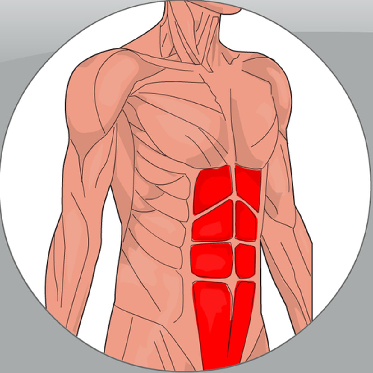<p>abs</p>