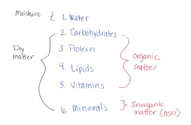 <ul><li><p><strong>Water </strong>- Moisture</p></li><li><p><strong>Carbohydrates </strong>- Dry matter, organic</p></li><li><p><strong>Protein </strong>- Dry matter, organic</p></li><li><p><strong>Lipids </strong>- Dry matter, organic</p></li><li><p><strong>Vitamins </strong>- Dry matter, organic</p></li><li><p><strong>Minerals </strong>- Dry matter, <strong>inorganic </strong>(ash)</p></li></ul><p></p>