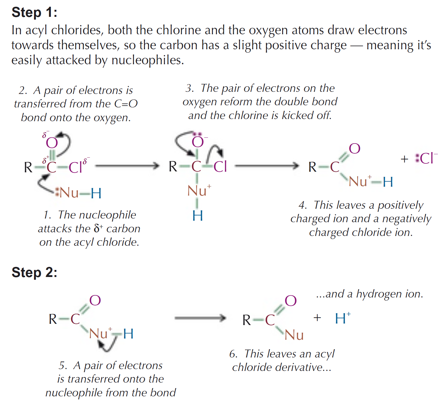 <ol><li><p>The nucleophile adds onto the acyl chloride, displacing a Cl<sup>-</sup> ion</p></li><li><p>The hydrogen leaves to create an acyl chloride derivative</p></li></ol><p></p>