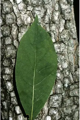 <p></p>