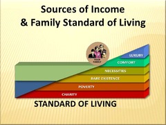 <p>the level of life, standard of living</p>