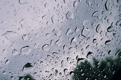 <p>дощ</p><p>비가 와요. = It's raining.</p><p>어제 비가 많이 왔어요. = It rained a lot yesterday.</p><p>비 때문에 우산을 가져왔어요. = I brought an umbrella because of the rain.</p>