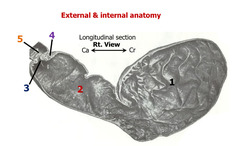 <p>1</p>