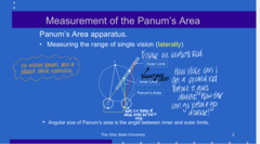 <p>What is the angular size of Panum's Area?</p>