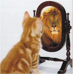 <p><strong>with aplomb</strong></p>