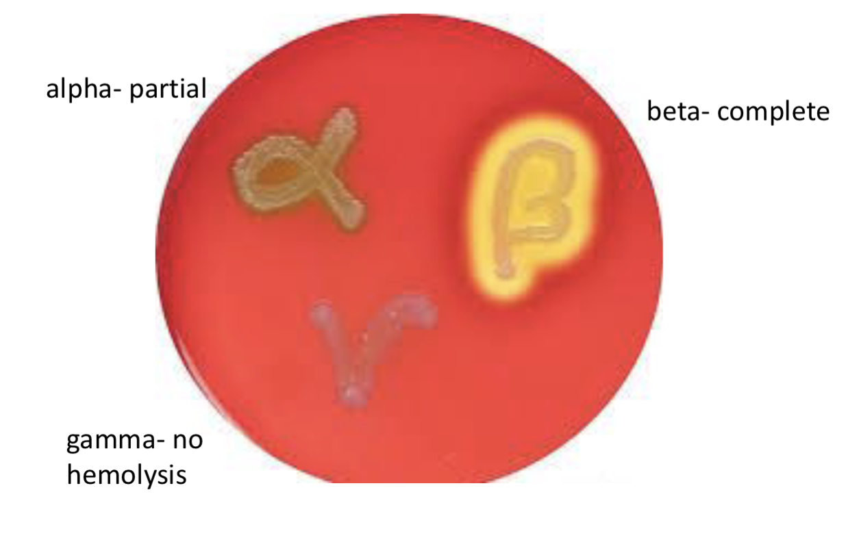 <p>what is this?</p>