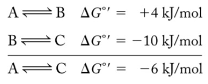 <p>Coupled Reactions</p>