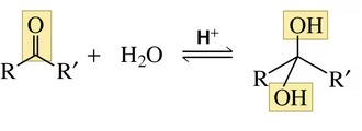 <p>A hydrate</p>