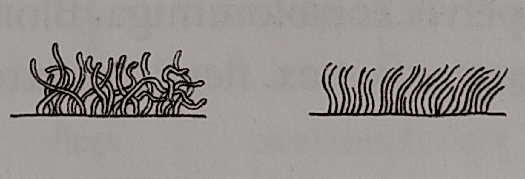 <p></p>