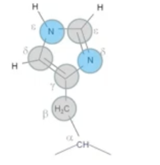 <p>H<br>Polar, Positive, Basic (NH3+)</p>