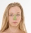 <p>Nasal</p>