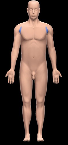 <p>armpit </p>