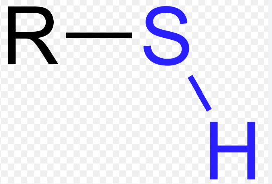 <p>-SH</p>