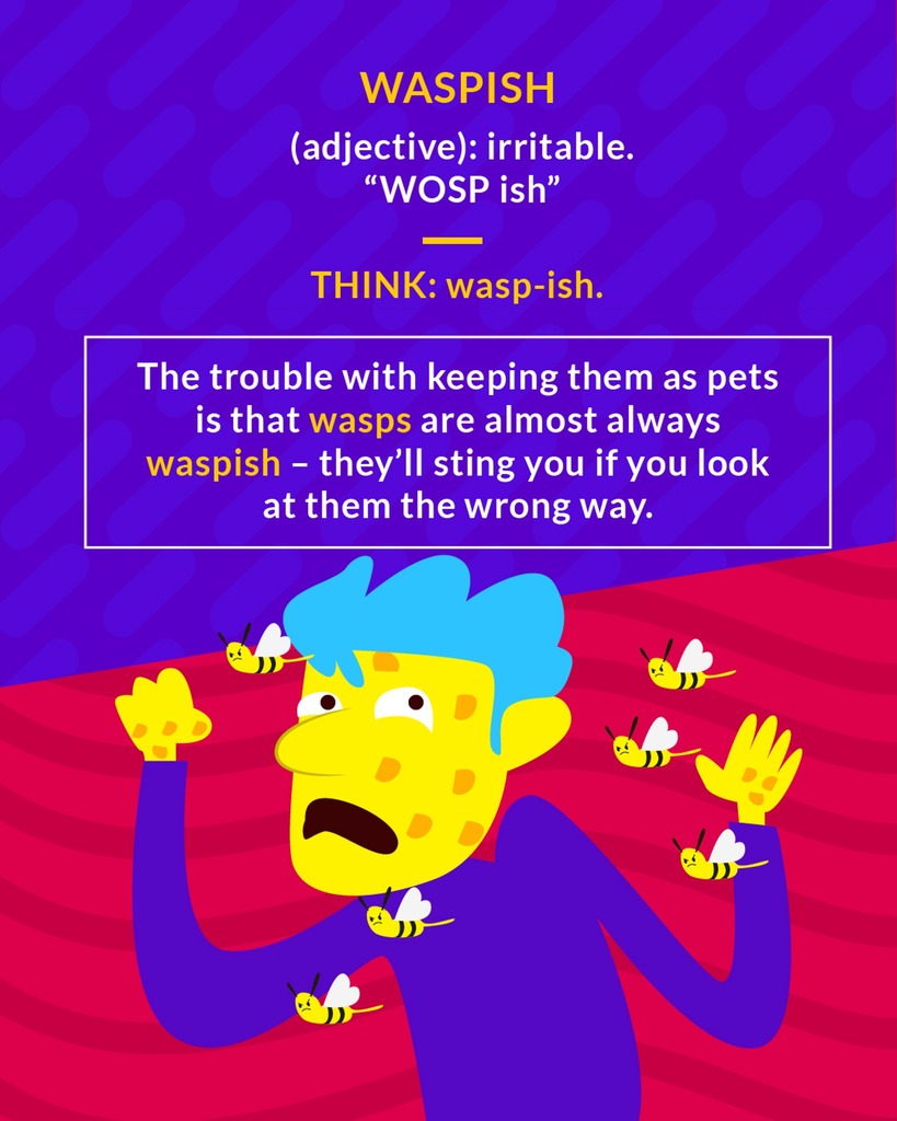 <p>irritable</p>