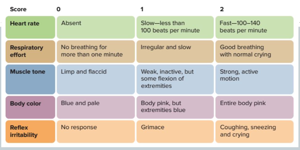 <ul><li><p>5 categories</p></li><li><p>higher the score, the better</p></li><li><p>the total score is then summed up across all 5 categories to assess overall status of the newborn</p></li></ul><p></p>