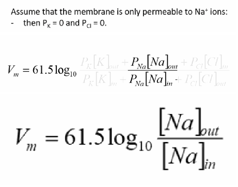 <p>PK = 0 and PCl = 0, so the Goldman equation collapses down to the Nernst equation for sodium alone: Vm = 61.5 log10([Na]out / [Na]in). This shows the Goldman equation reduces to the Nernst equation when only one ion is permeant.</p>