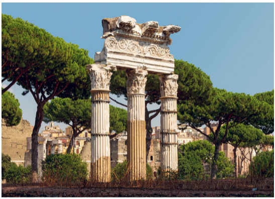 <p>Temple of Venus Genetrix</p>