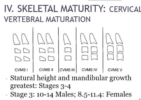 <p>Using lat ceph</p><p>Statural height and mandibular growth greatest at stages 3-4 of CVM which coincides with ages 10-14 in males and 8.5-11.4 in females </p><p>but reliability is variable, low inter and intra observer variability </p>