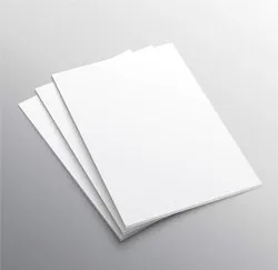 <p>Image_</p>
