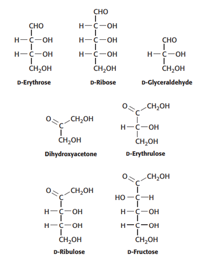 <p><span style="font-family: Aptos, sans-serif; line-height: 115%;">Carbons and carbonyls. To which classes of sugars do the monosaccharides shown here belong?</span></p>