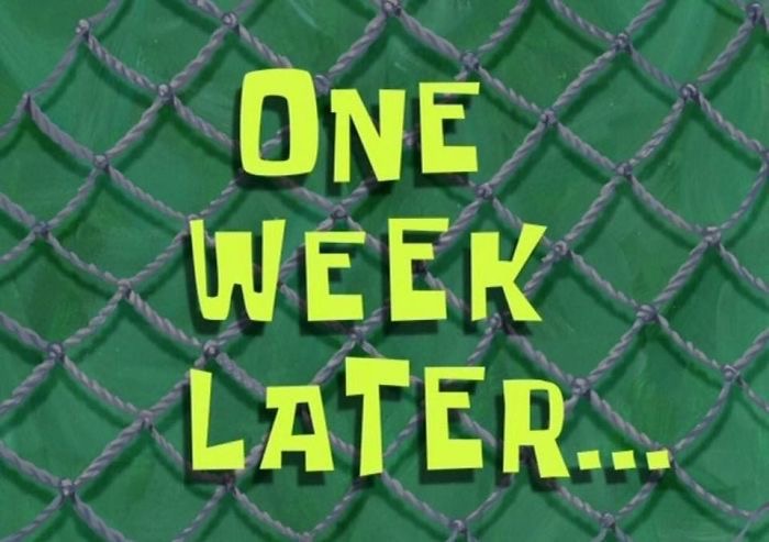 <p>week</p>