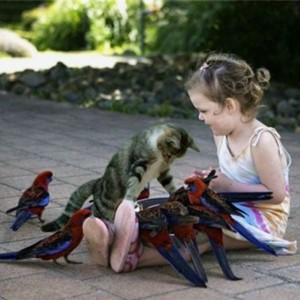 <p>friendly</p>