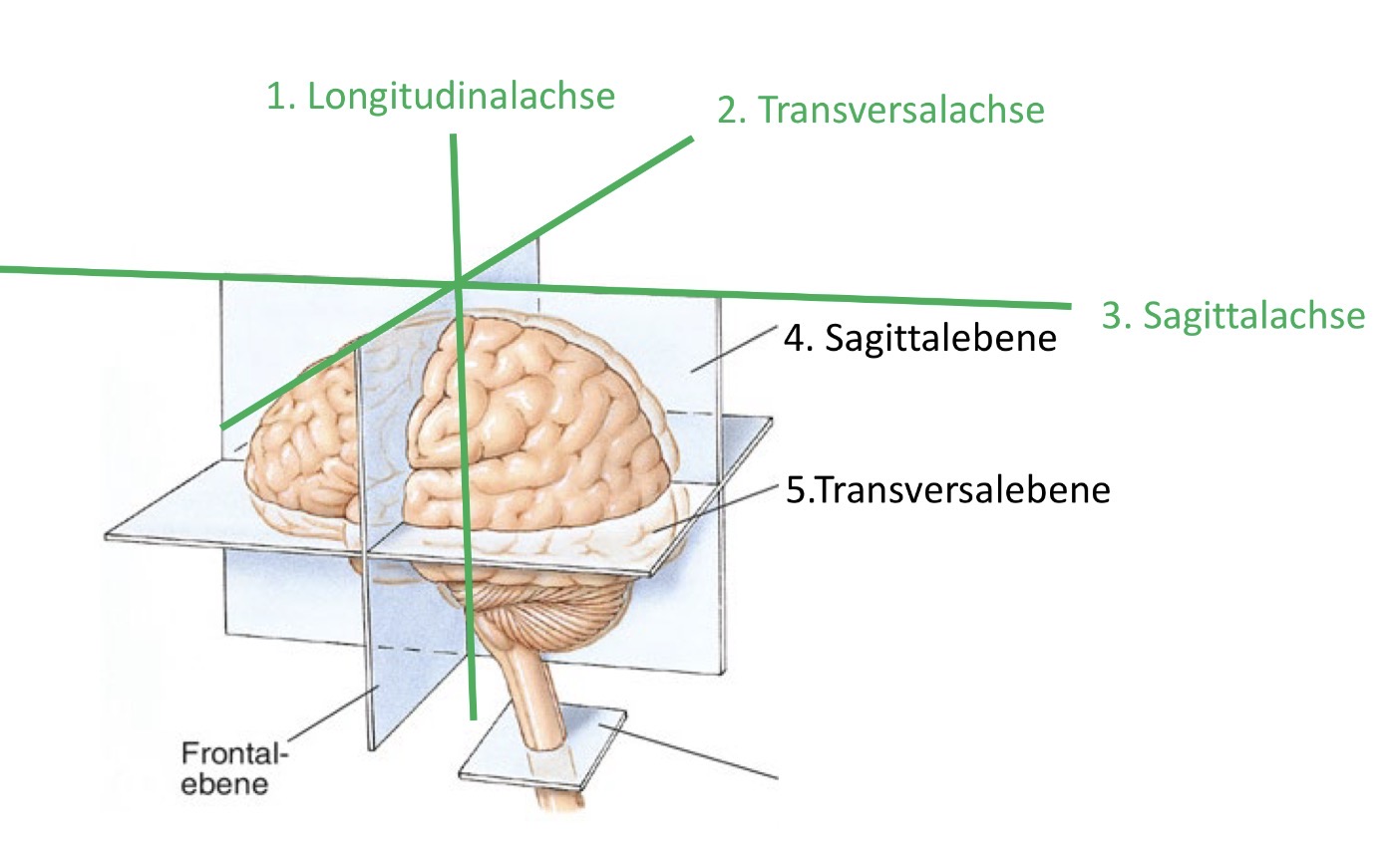 <p></p>