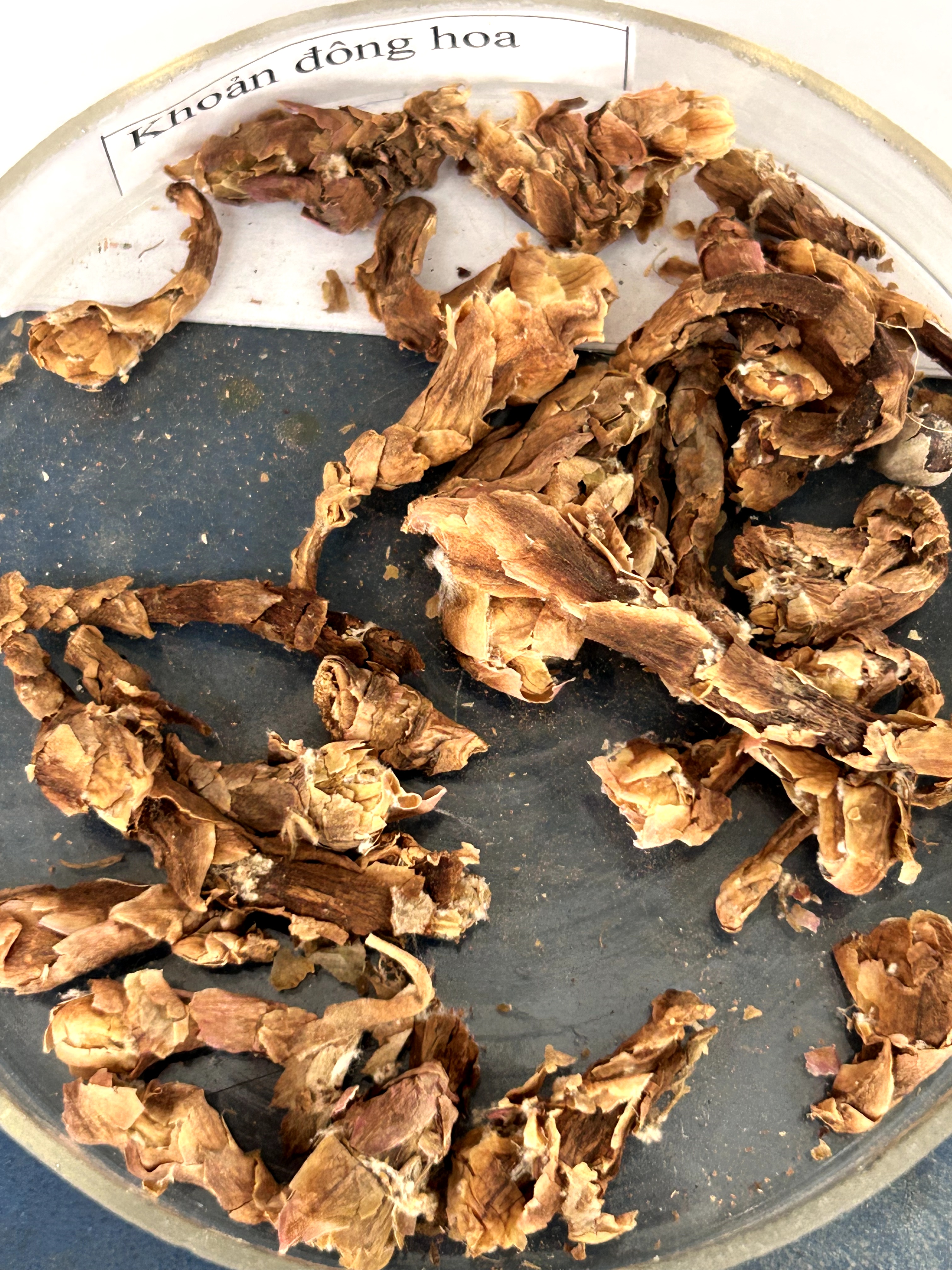 <p>khoản đông hoa</p>