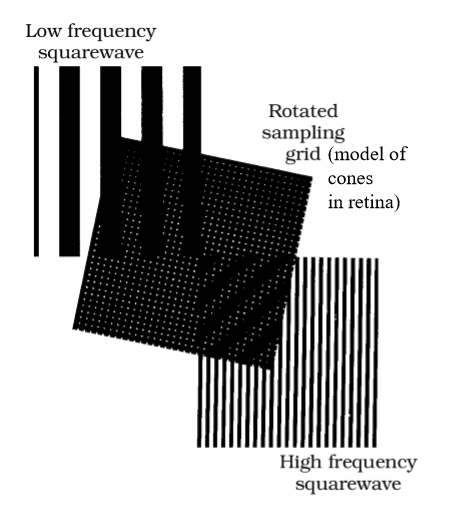 <p>Aliasing occurs when a grating has very fine spacing, but the visual system samples it too coarsely.<br>The grating can still be seen, but it looks distorted or abnormal rather than properly resolved.<br>This can be replicated by viewing fine gratings through a grid of holes with wider spacing, causing a misleading appearance.</p>