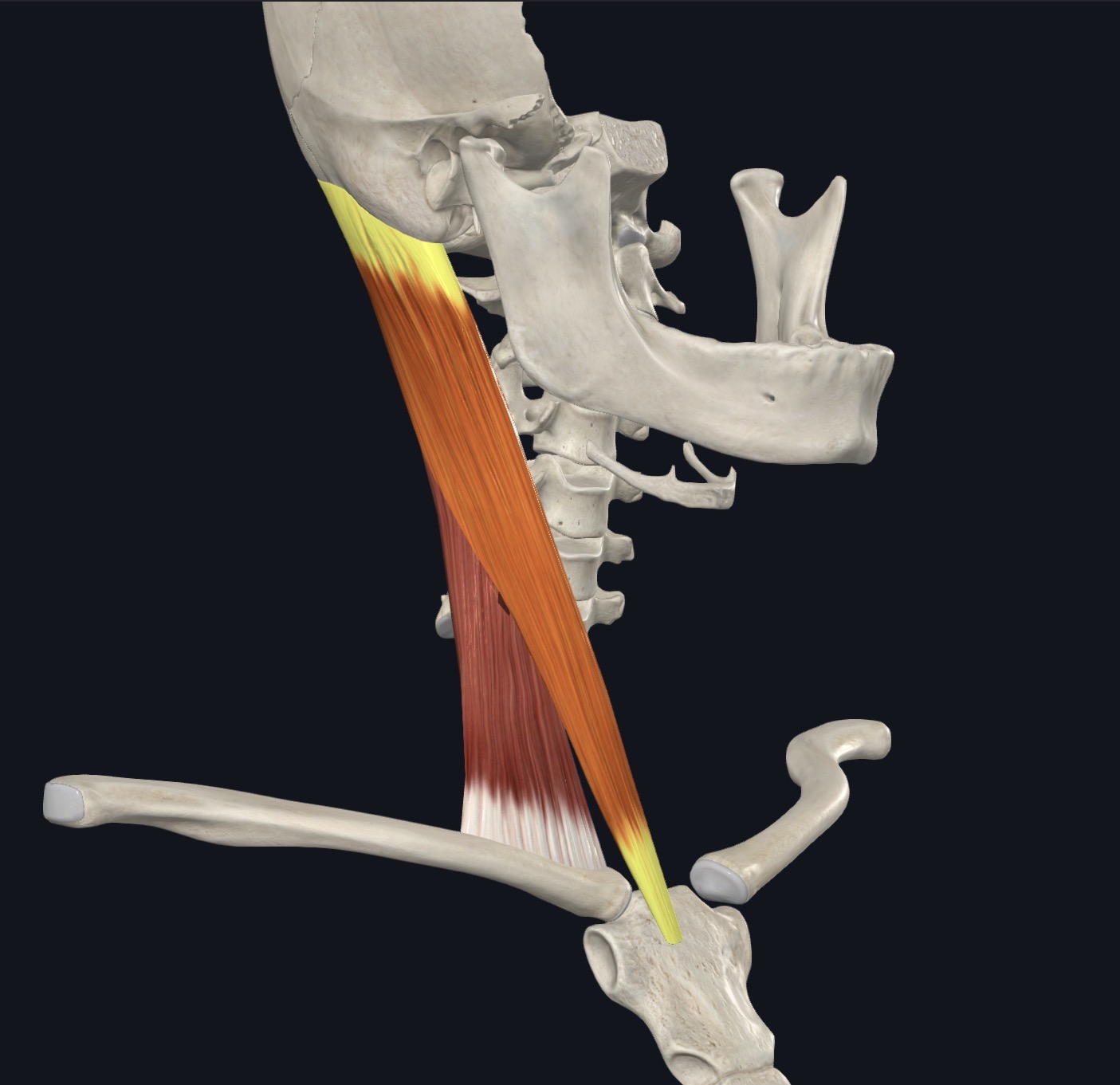<p>SCM Action</p>