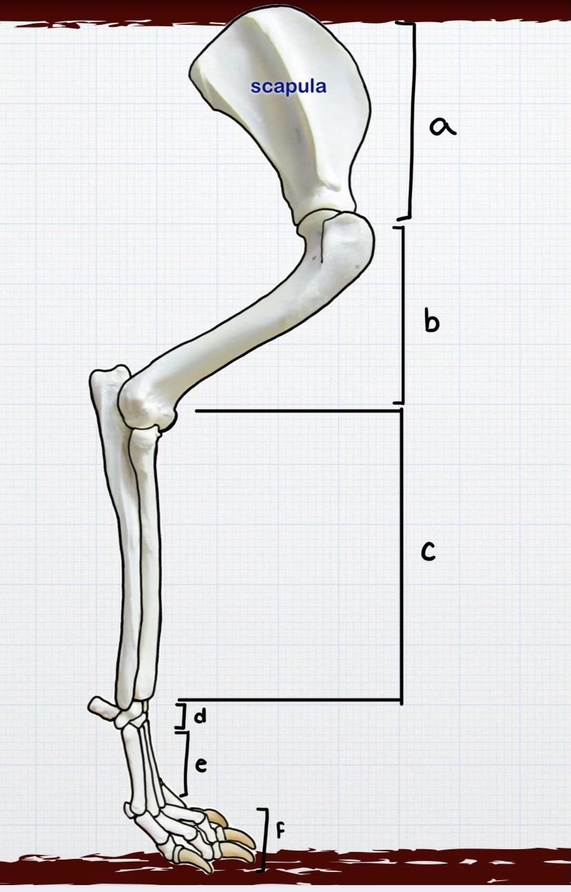 <p>Identify each part </p>