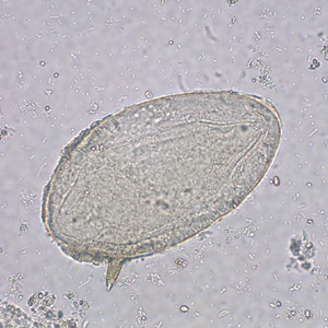 <p>What is this?</p>
