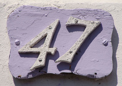 <p>47</p>