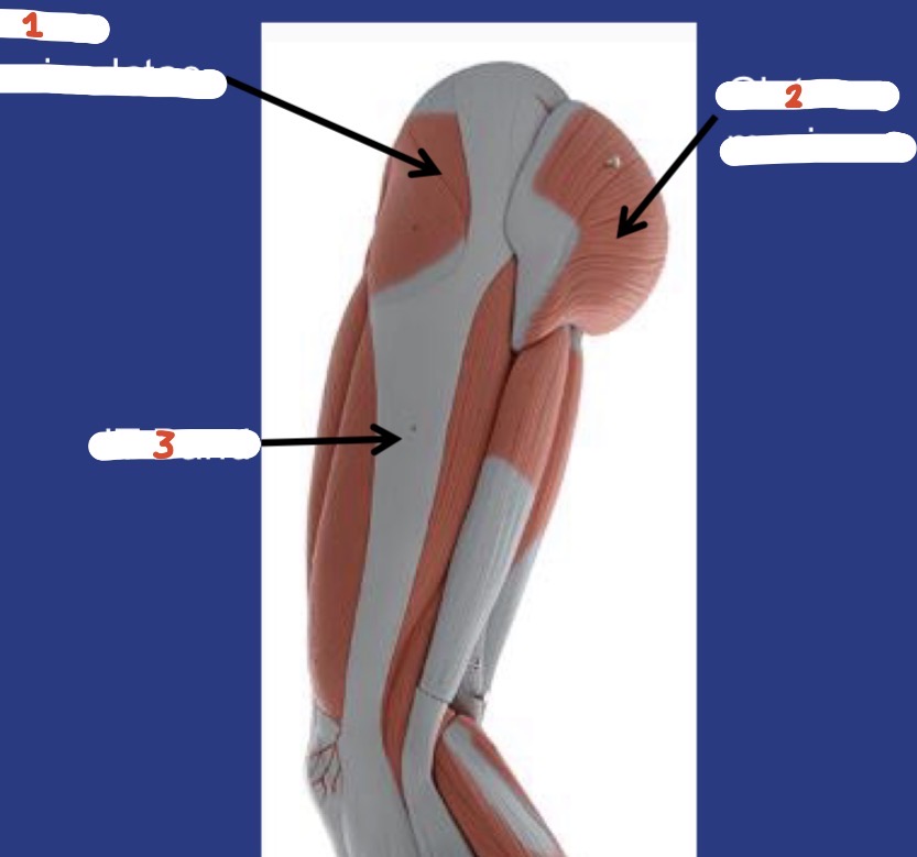 <p>2</p>