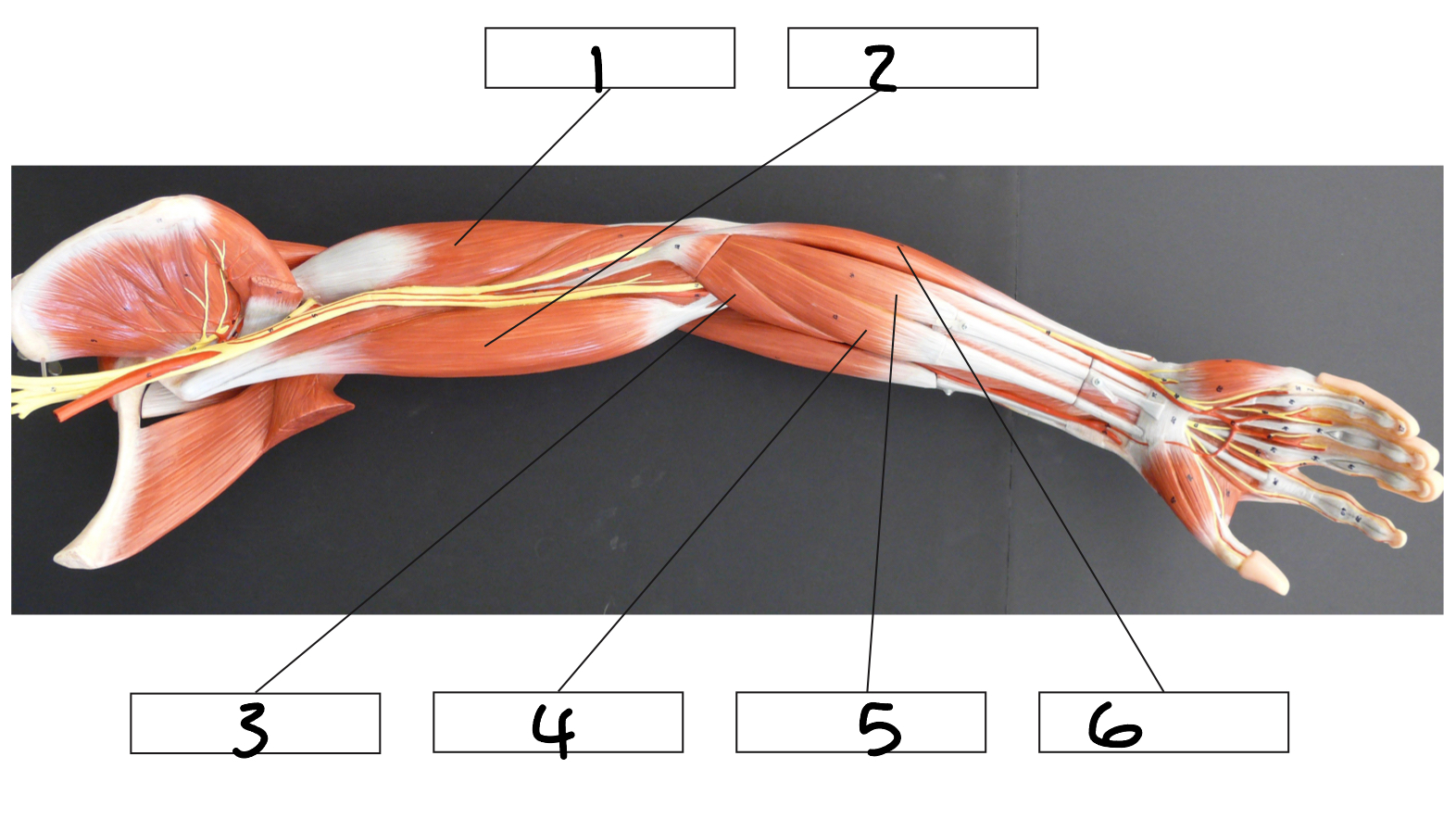 <p>2</p>