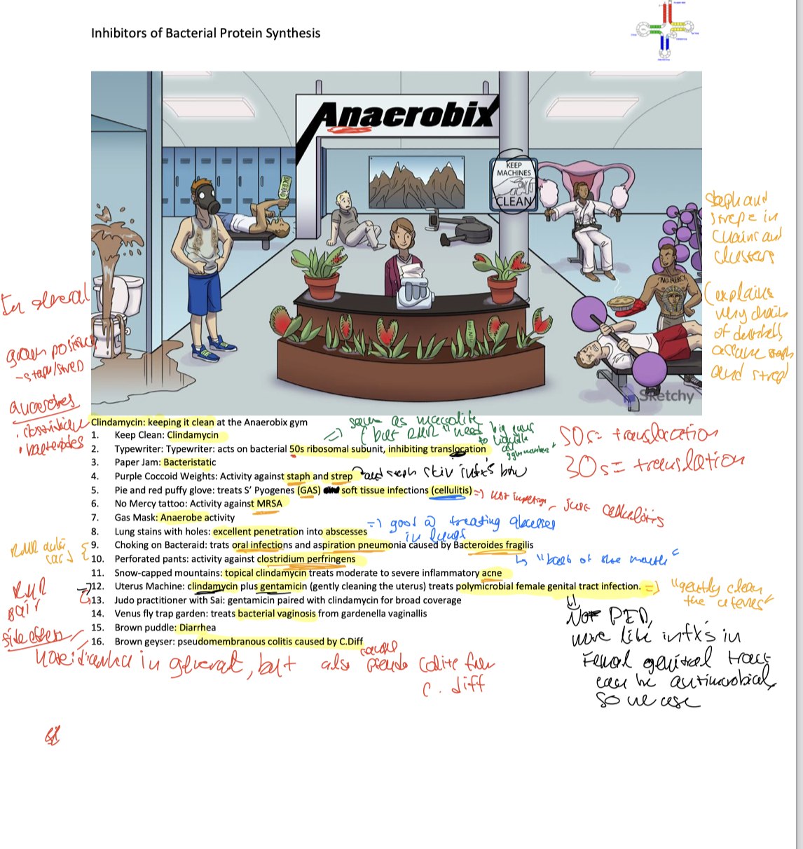 knowt flashcard image