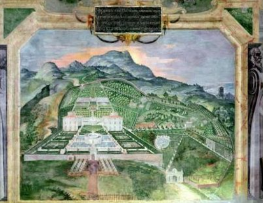 term image