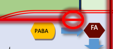 <p>act as competitive inhibitors of the enzyme <strong>dihydropteroate synthase</strong>, which bacteria use to synthesize folic acid from <strong>para-aminobenzoic acid (PABA)</strong>. Because these drugs are structural analogs of PABA, they "trick" the enzyme into binding with them instead, effectively halting the production of folic acid. Since folic acid is a vital cofactor for converting <strong>dUMP to dTMP</strong>, its absence leaves the bacteria without enough thymine to replicate their DNA, leading to inhibited growth and DNA strand breaks. Because humans absorb folic acid from food rather than synthesizing it themselves, this pathway is a selective target that leaves human cells unharmed.</p>