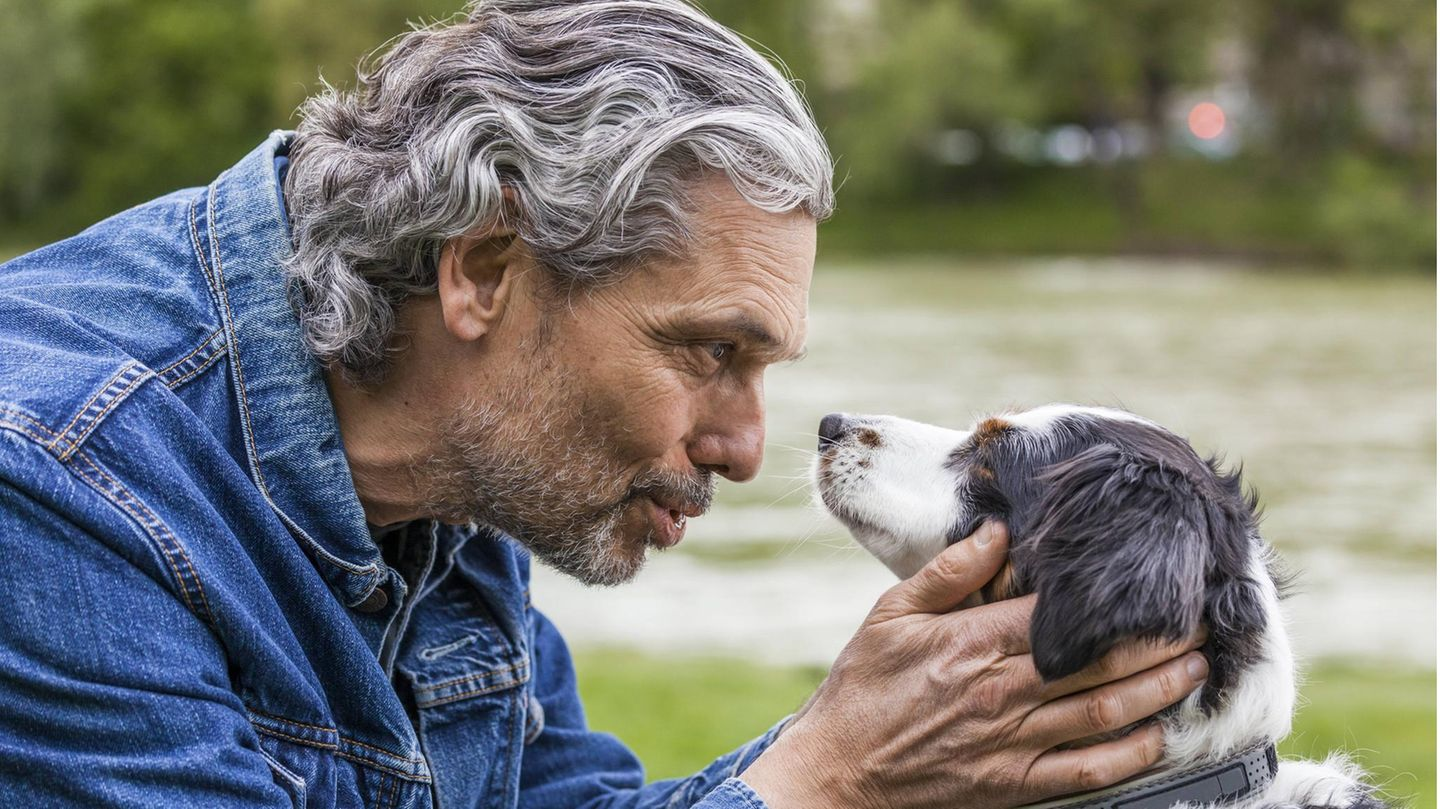 <p><strong>Sahip, Mülk sahibi</strong></p><p><strong>*****************************************************************************************</strong></p><p>Wir sind die Besitzer.</p><p>Biz sahipleriz.</p>