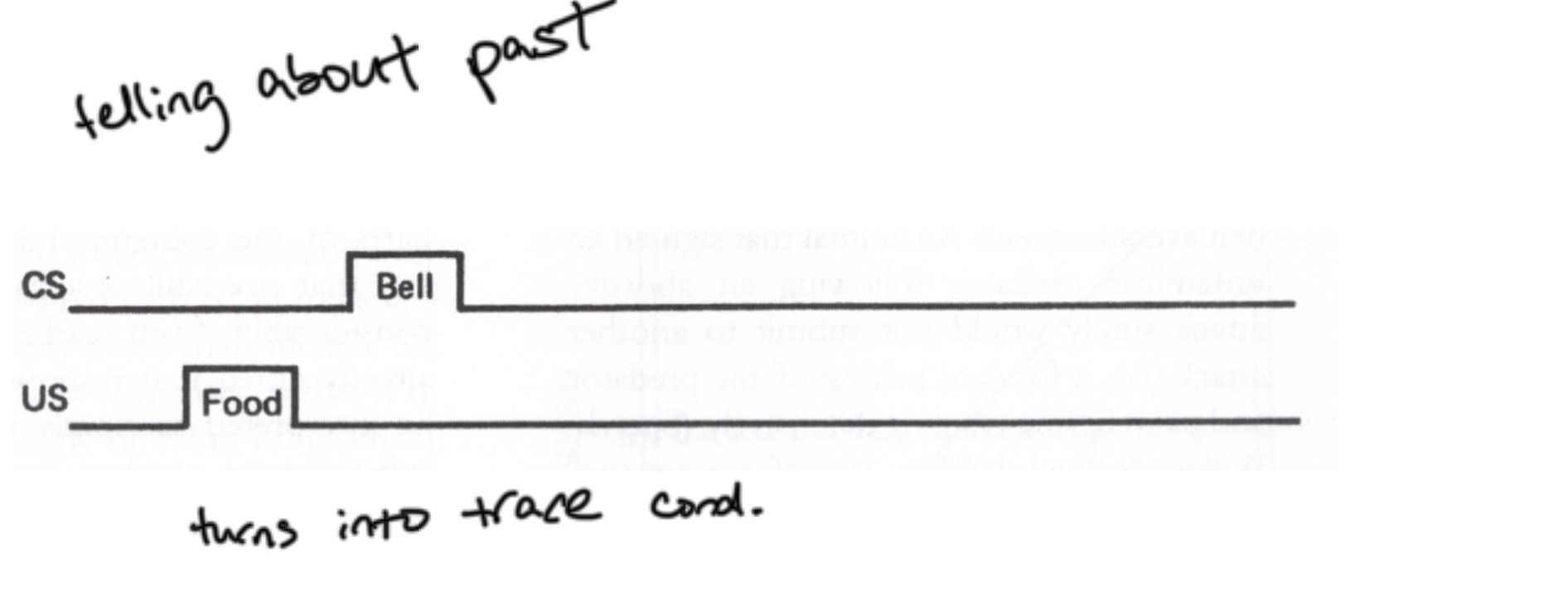 <p>The US is presented and consumed before the CS is presented </p>